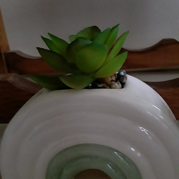 Trio of Ceramic Planters with Plastic Plants - Picture 2 of 4